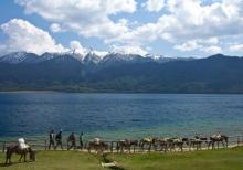 The heavenly rara