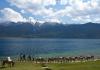 The heavenly rara